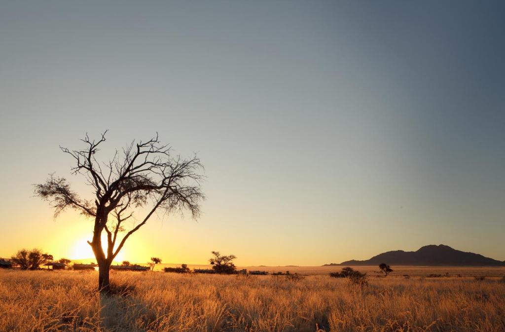 Desert Camp Sesriem Bagian luar foto